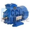 Y3-63M1-2，Y3-63M2-2，Y3-71M1-2，Y3-71M2-2，三相異步電機(jī)