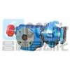 DPZ-1.2/0.6，DPZ-1.6/0.6，DPZ-3.3/0.6，DPZ-4/0.6，高真空強(qiáng)排式齒輪泵
