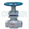 U11SM-16，U11SM-16C，U11SM-16P，U11SM-16R，內(nèi)螺紋柱塞閥