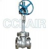 DZ40Y-40LCB，DZ40Y-40LC1，DZ40Y-40LC2，傘齒輪低溫閘閥