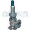 A40Y-64C，A40Y-64I，A40Y-100C，A40Y-100I，帶封閉散熱器彈簧全啟式安全閥
