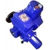 OAP,OA15,ASP,AS50,AS100,AS200,AS400,ST6+RS432,ST14+RS600,ST14+RS1825G,ST14+RS3030G,行程電動執(zhí)行機(jī)構(gòu)