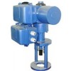 B+Z250/K1240,B+Z250/F1240,B+Z250/K1840,B+Z250/F1840,B+Z250/K1260,B+Z250/F1260,直行程電動執(zhí)行機(jī)構(gòu)